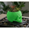 DeskLegends Erlik Han Kafatası Kalemlik | Dekoratif Organizer